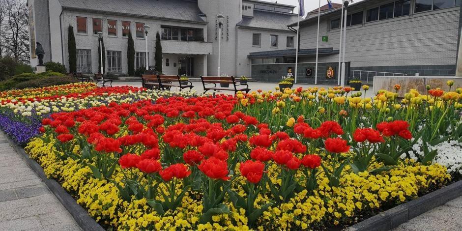 Best Relax Heviz Apartman Экстерьер фото